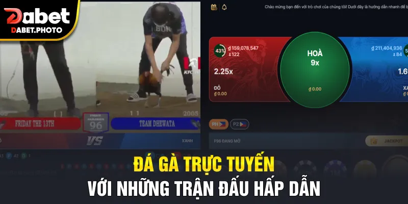 Đá gà trực tuyến với những trận đấu hấp dẫn