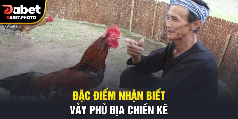Đặc điểm nhận biết vảy phủ địa chiến kê