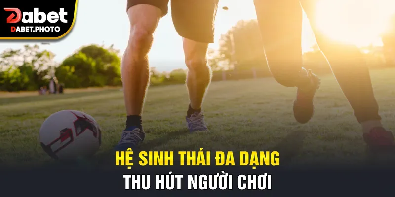 Hệ sinh thái đa dạng thu hút người chơi
