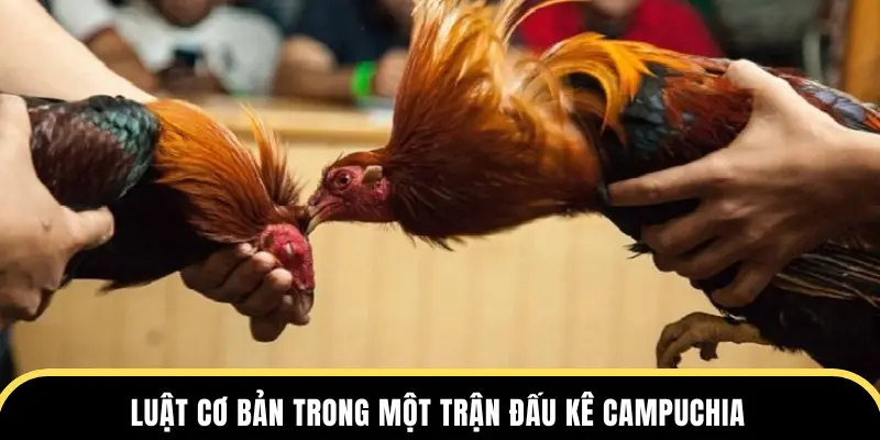 Luật cơ bản trong một trận đấu kê Campuchia