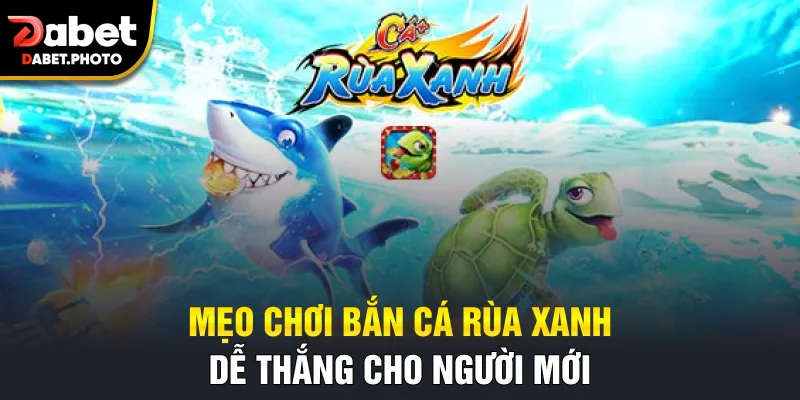 Mẹo chơi bắn cá Rùa Xanh dễ thắng cho người mới