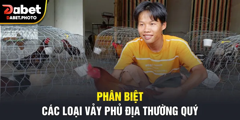Phân biệt các loại vảy phủ địa thường quý