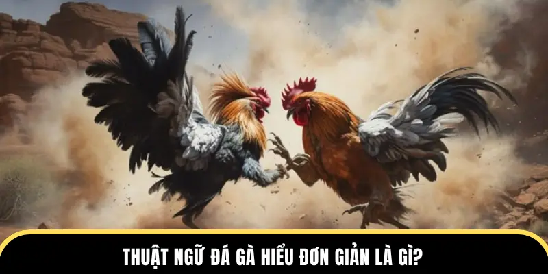 Thuật ngữ đá gà hiểu đơn giản là gì?