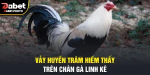 vảy gà huyền trâm